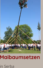 Maibaumsetzen   in Serba
