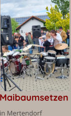 Maibaumsetzen  in Mertendorf